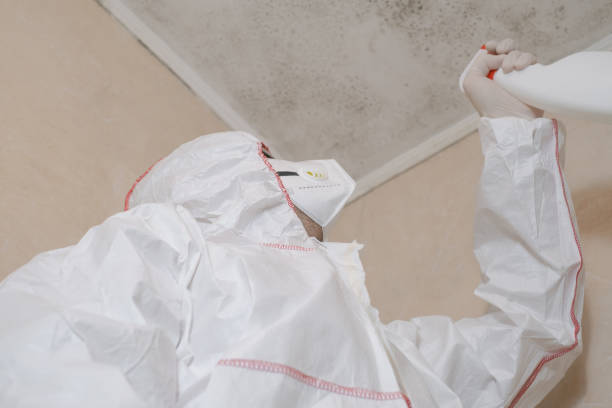 Best Office Mold Removal Services  in Medpolis, IA
